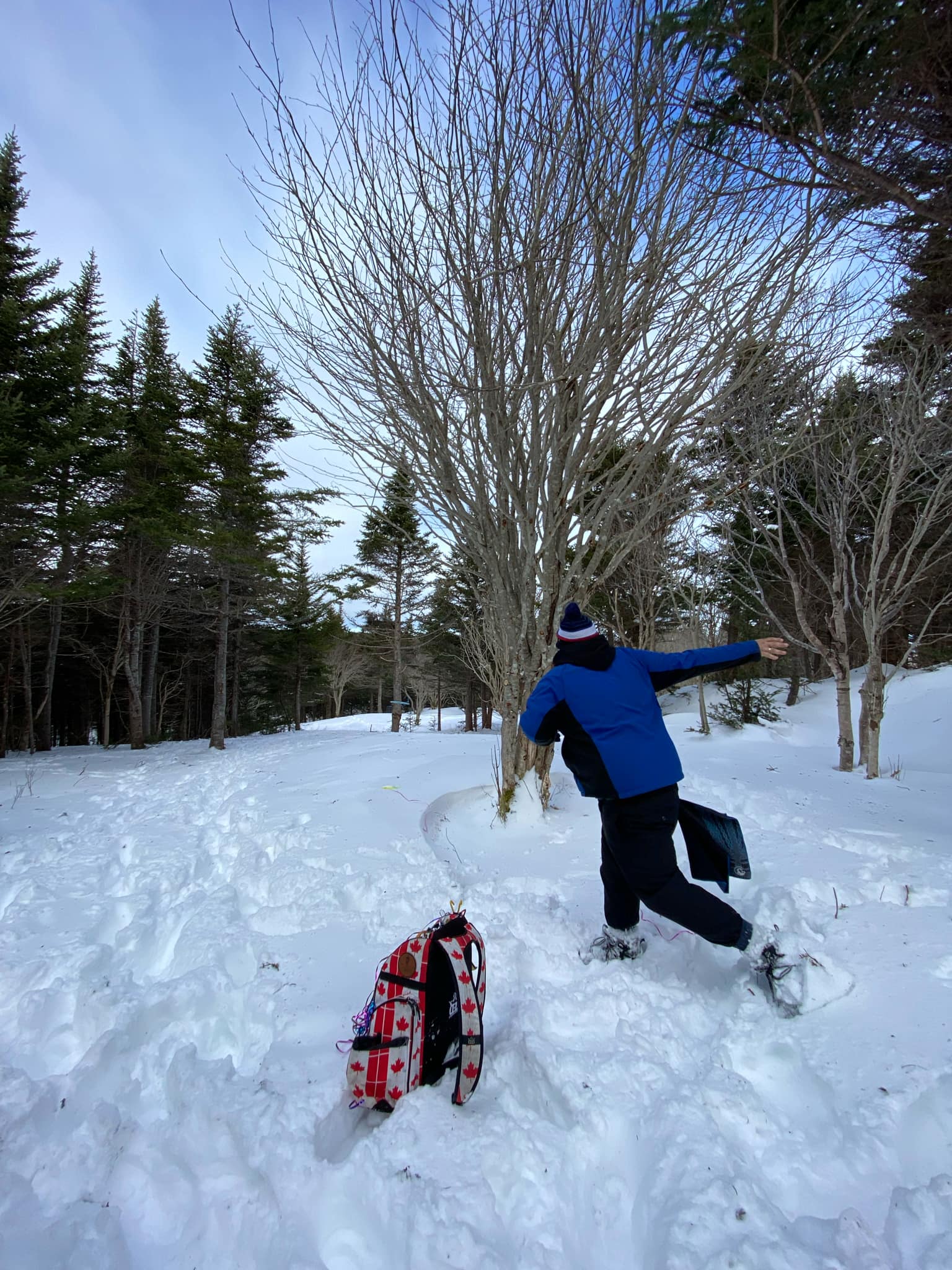 Ice Bowl action shot